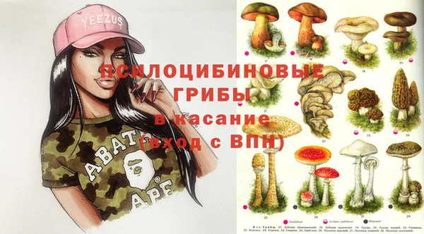герыч Арсеньев