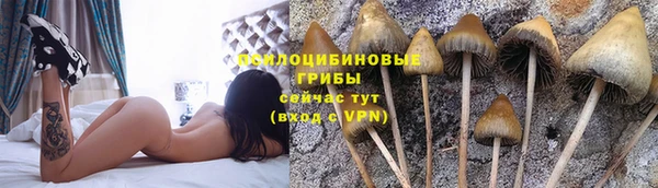 ГАЛЛЮЦИНОГЕННЫЕ ГРИБЫ Алексин