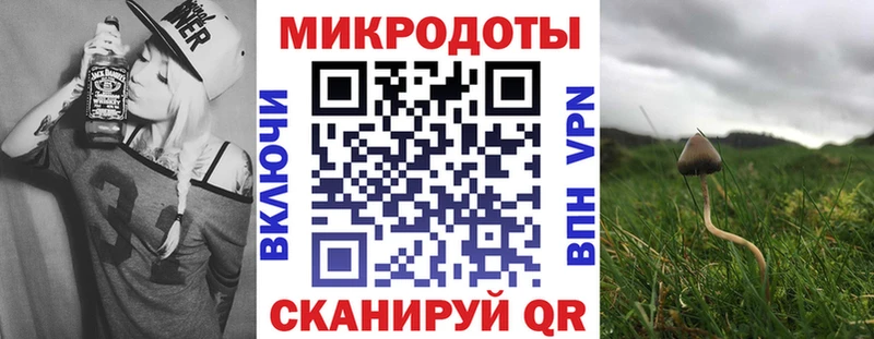 Галлюциногенные грибы мухоморы  купить   mega сайт  Бакал 